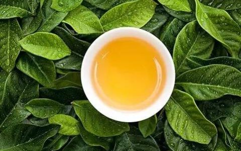 常喝绿茶有什么好处？女性和绿茶的好处和坏处？