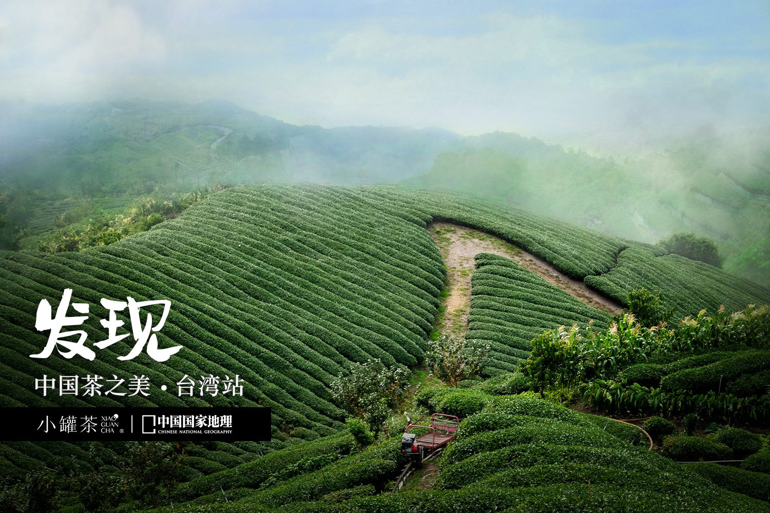 3天跨越2000公里 小罐茶携手《中国国家地理》发现台湾好茶