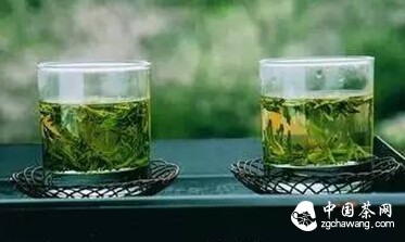 绿茶能不能存放在冰箱里？