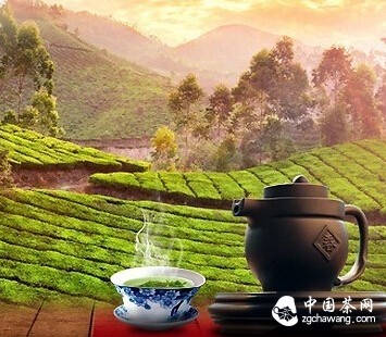 你是我的一杯茶