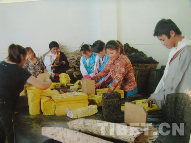 一个藏族企业在仙茶故乡的发展