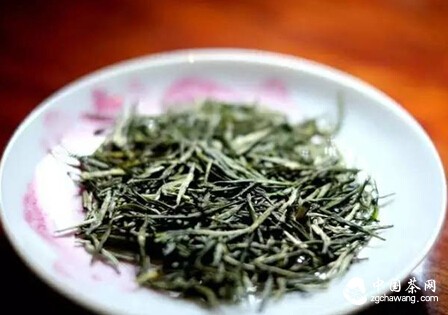 中国唯一幸存的蒸青绿茶