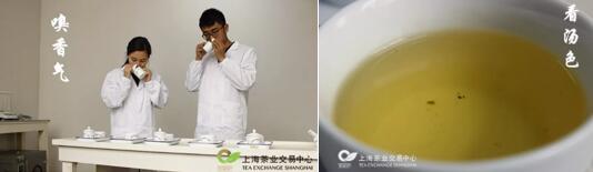 龙井发售 丨上海茶业交易中心科学，严格的把关每一款茶
