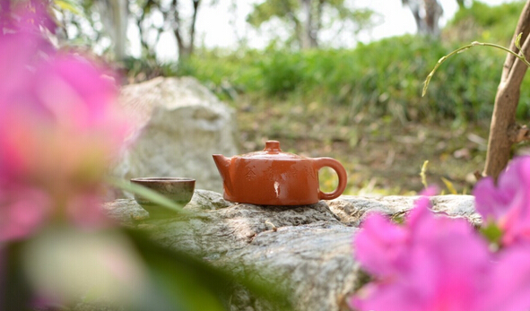 想要一个，这样的院子，沏茶看鱼。