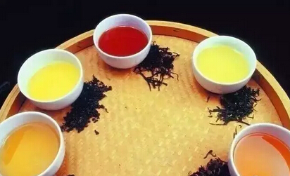 普洱茶中的“黄片”是什么？