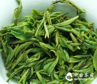 紫笋茶的茶史