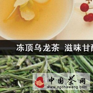 冻顶乌龙茶 滋味甘醇浓厚