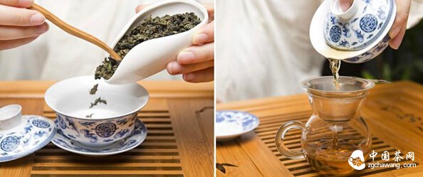 我到底要放多少茶？！一个关于投茶量的呐喊