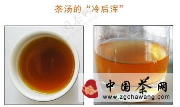 【科普】解读茶叶中主要成分：咖啡碱（二）
