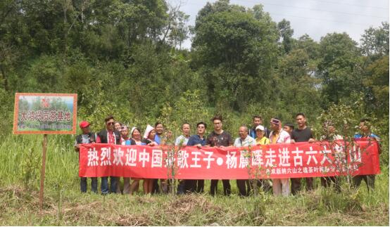 倪龙彪携手中国茶歌王子--杨晨晖走进古六大茶山