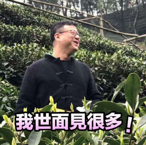 网易严选又搞事 丁磊采头茶被玩儿成了表情包