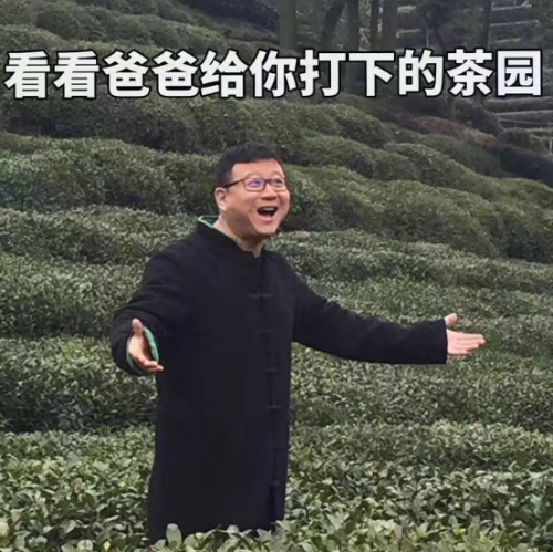 网易严选又搞事 丁磊采头茶被玩儿成了表情包