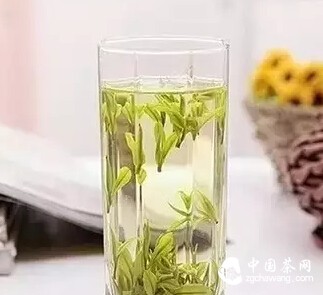 绿茶，千万别再用杯泡了