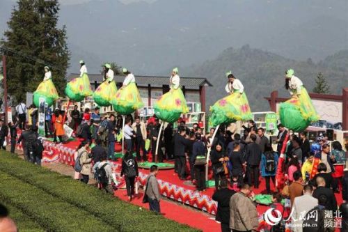 湖北五峰春茶旅游节开幕 茶产业成百姓致富"绿色银行"