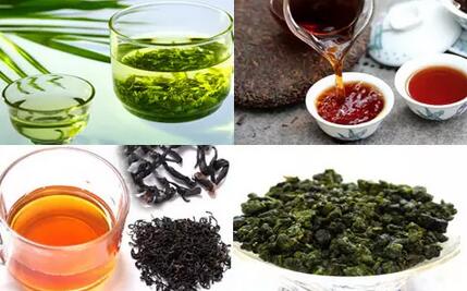 绿茶、乌龙茶、红茶、普洱茶功效大PK