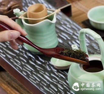 泡一杯茶需要放多少茶叶最适合？