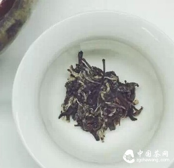 喝了这么久的茶，标准投茶量你都不懂？