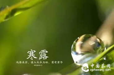 14个节气的特色茶饮 你造吗？