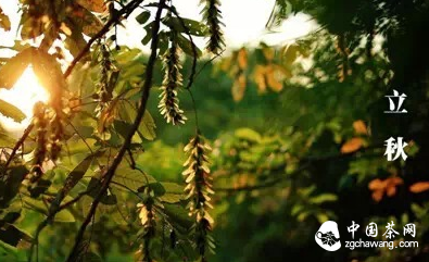 14个节气的特色茶饮 你造吗？