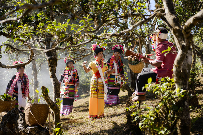 茶王节是勐海的节日，也是全中国茶人的节庆