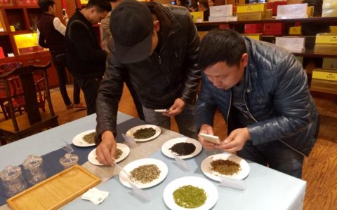川茶集团持续开展茶文化推广活动 邀市民免费品早茶