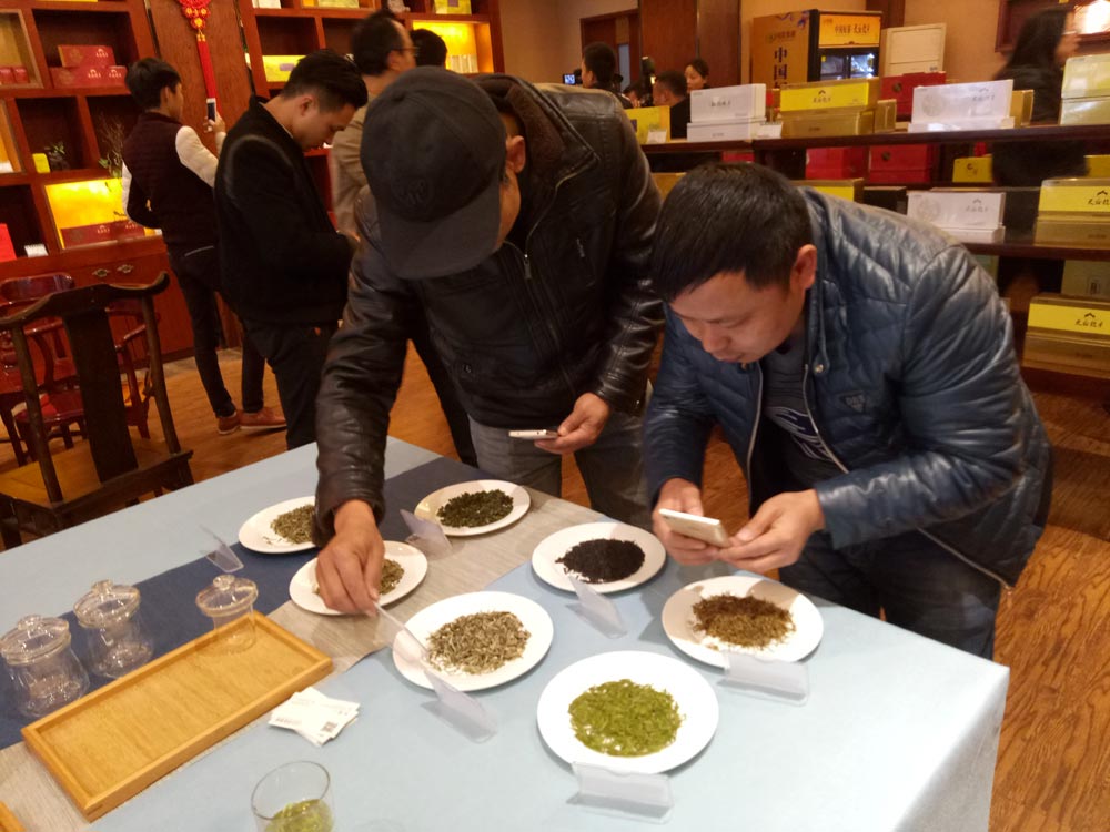 川茶集团持续开展茶文化推广活动 邀市民免费品早茶