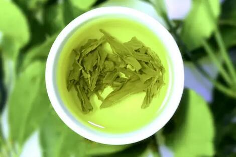 绿茶枸杞别一起泡，不利于营养吸收