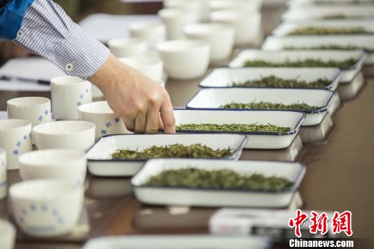 鄱阳湖产区40余茶商携产品“斗茶”争霸茶王
