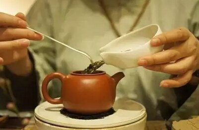 茶：“泡”得健康，才能喝得健康