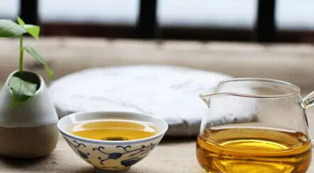 熟知普洱“茶性”及品味技巧，方能品茶好茶