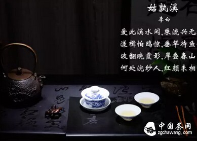 极简主义的茶道-----干泡法