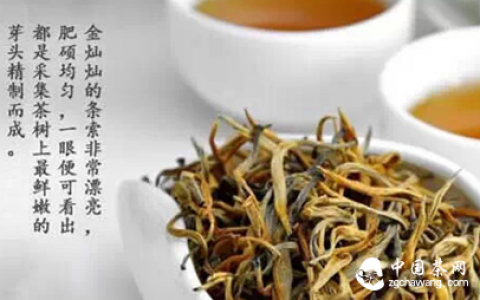 云南滇红红茶史及其特点