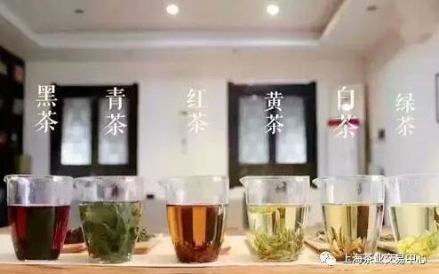 上海茶业交易中心“酩茗小课堂”茶文化培训班招生啦！