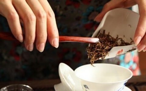 如何精确把控好6大茶类的投茶量？