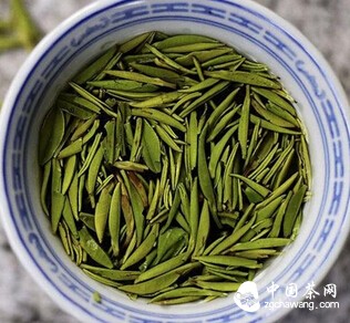 中国名茶——君山银针