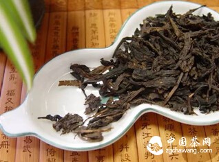 黑茶养生与湿热体质