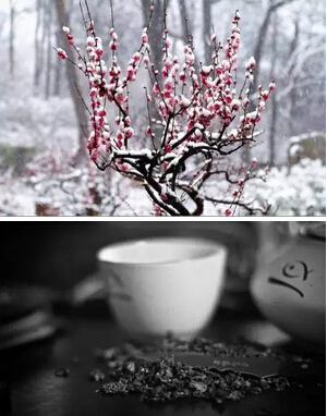 人间雅事，烹雪煮茶