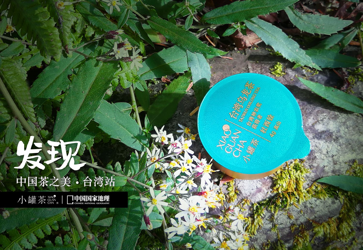 小罐茶&《中国国家地理》联名限量款上市，带你品味台湾茶之美