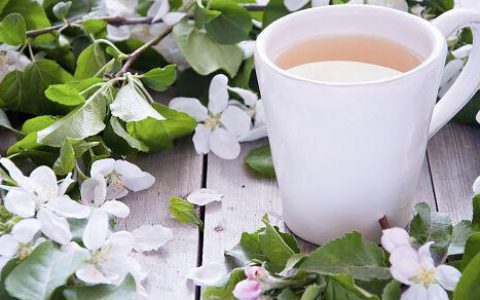春季养肝喝什么茶效果好