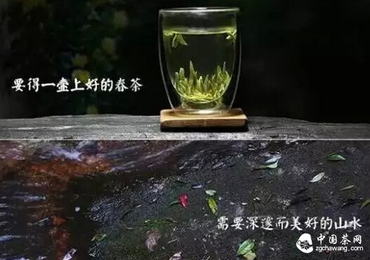 泡一杯茶融水、水含香之茶