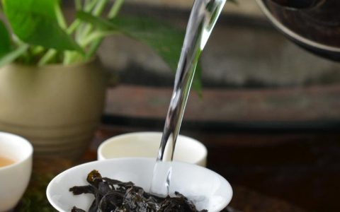 泡茶水温对泡出来的茶有什么影响？
