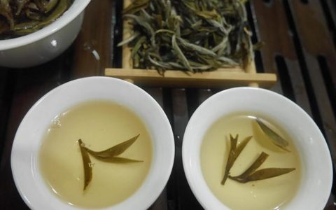 跟绿茶和花茶相比喝白茶有什么好处?