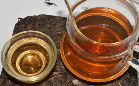 金花菌与黑茶加工工艺介绍