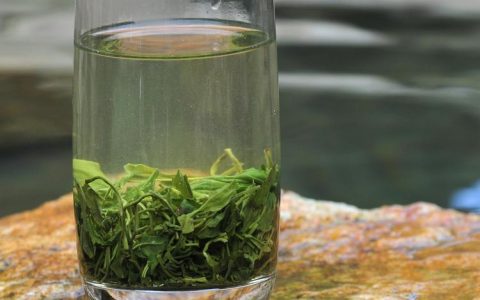 喝绿茶对预防卵巢癌有好处