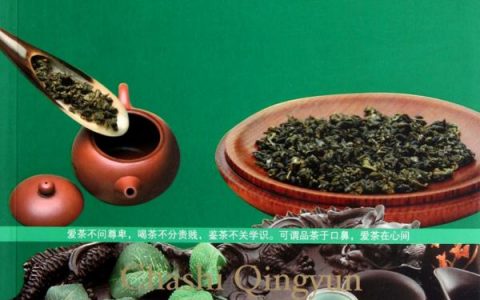 茶书推荐《茶事情韵: 鉴茶、泡茶与品茶图鉴》