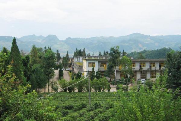 沧源佤山茶厂