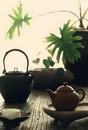 普洱茶应该用什么茶器来泡（盖碗、紫砂壶哪个更适合？ ）