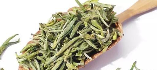 茶叶茸毛与茶叶品质的关系