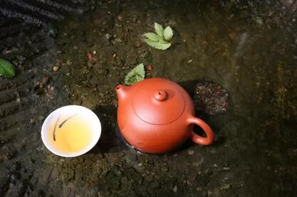 茶叶与身体的关系，终于搞懂了！